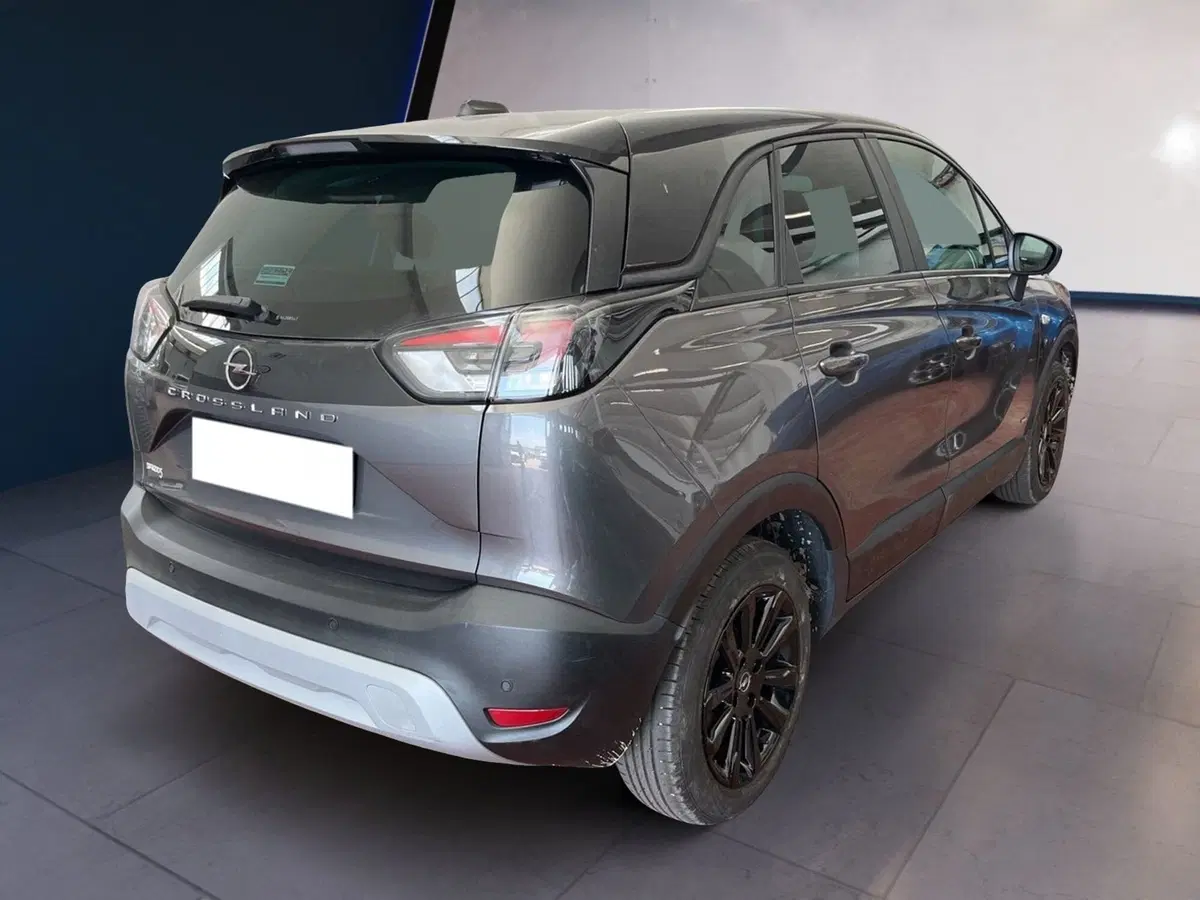 Opel Crossland X usata a Torino (6)