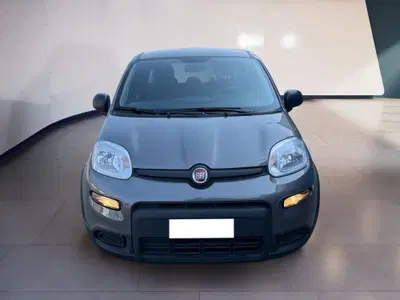 Fiat Panda 1.0 firefly hybrid s&amp;s 70cv 5p.ti del 2023 usata a Torino