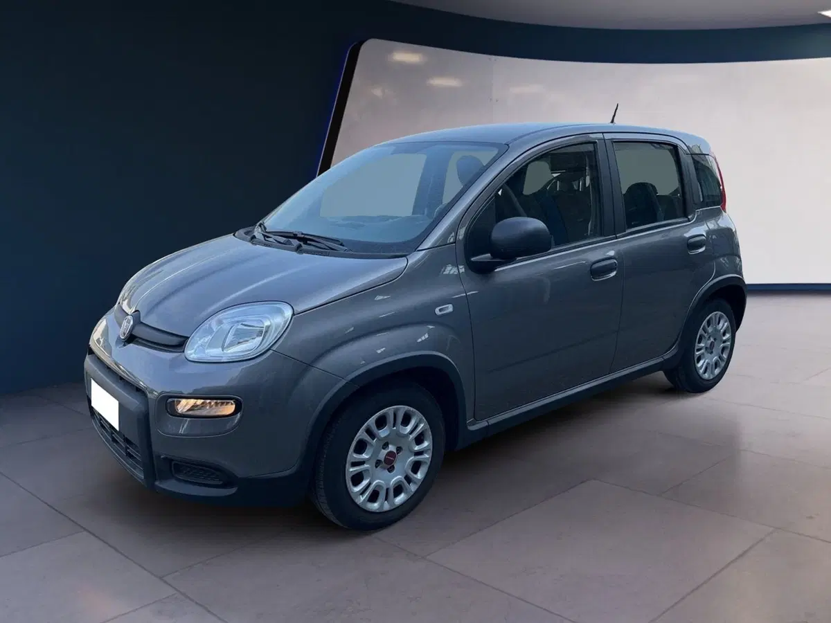 Fiat Panda usata a Torino (2)