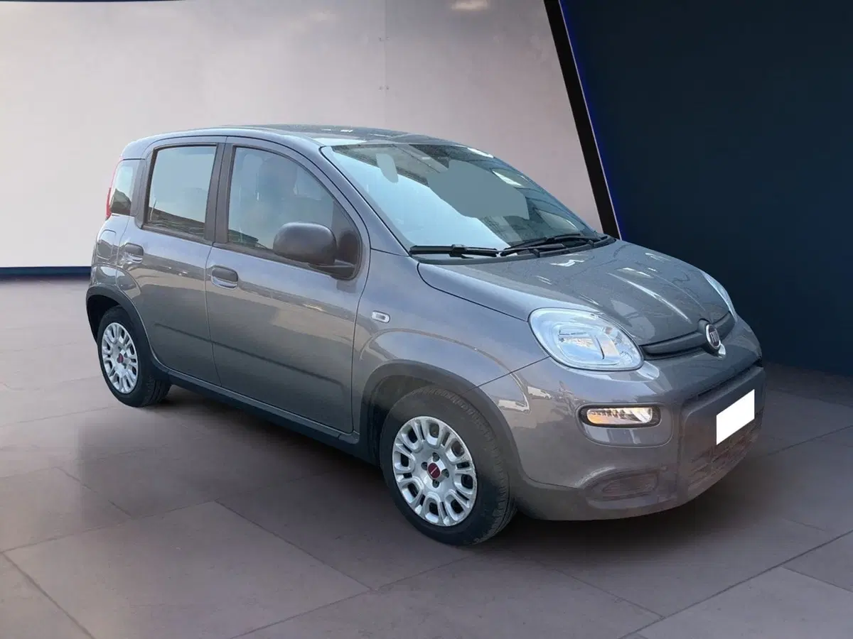 Fiat Panda usata a Torino (3)