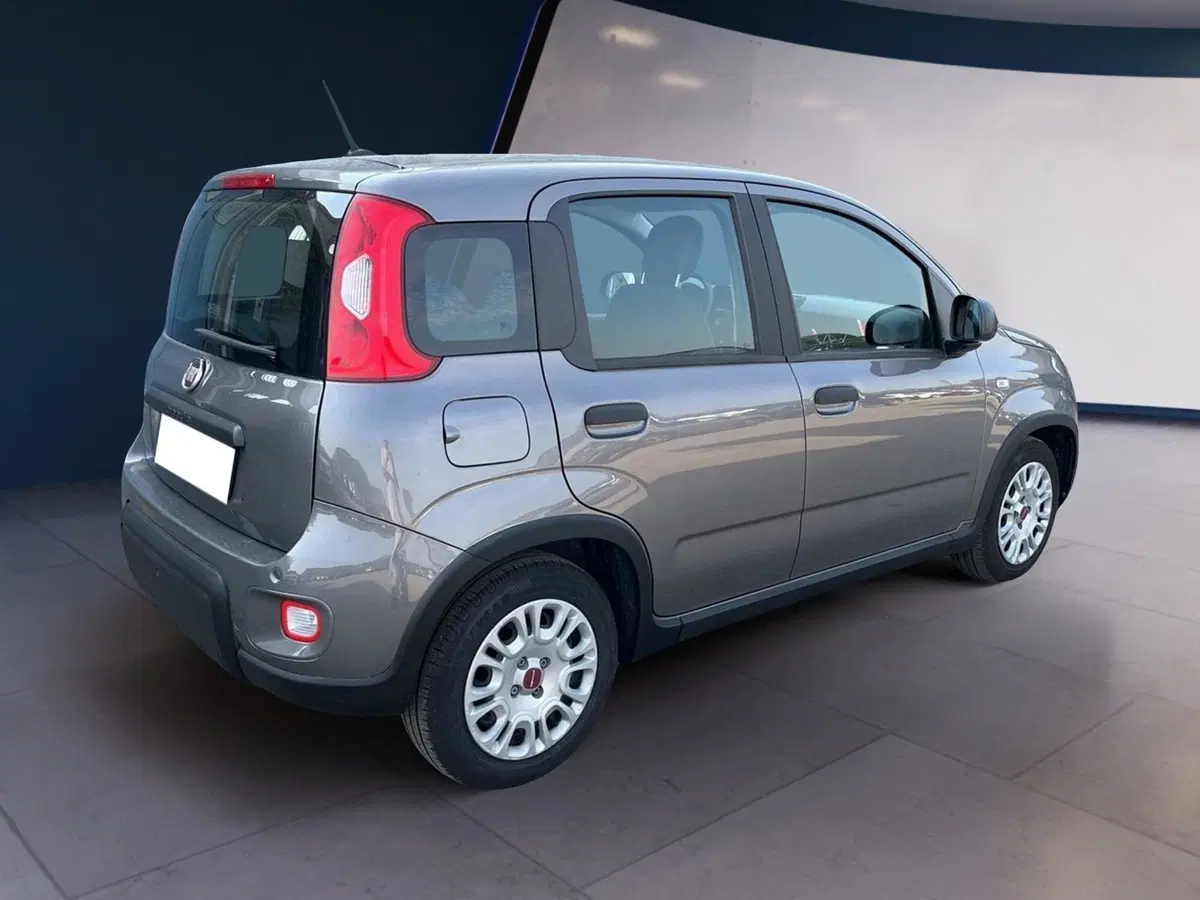 Fiat Panda usata a Torino (4)