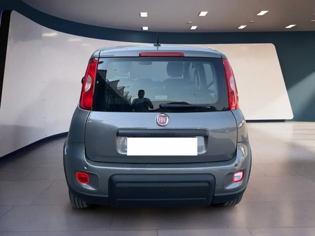 Fiat Panda usata a Torino (5)