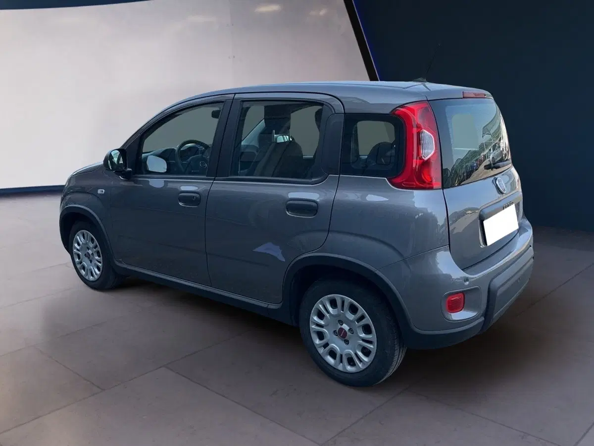 Fiat Panda usata a Torino (6)