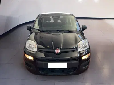 Fiat Pandina 1.0 firefly hybrid s&amp;s 70cv del 2025 usata a Torino