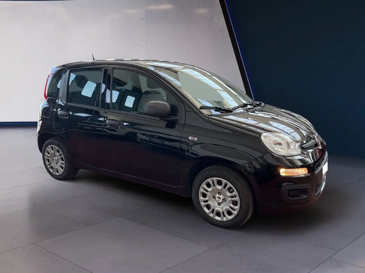 Fiat Pandina usata a Torino (2)