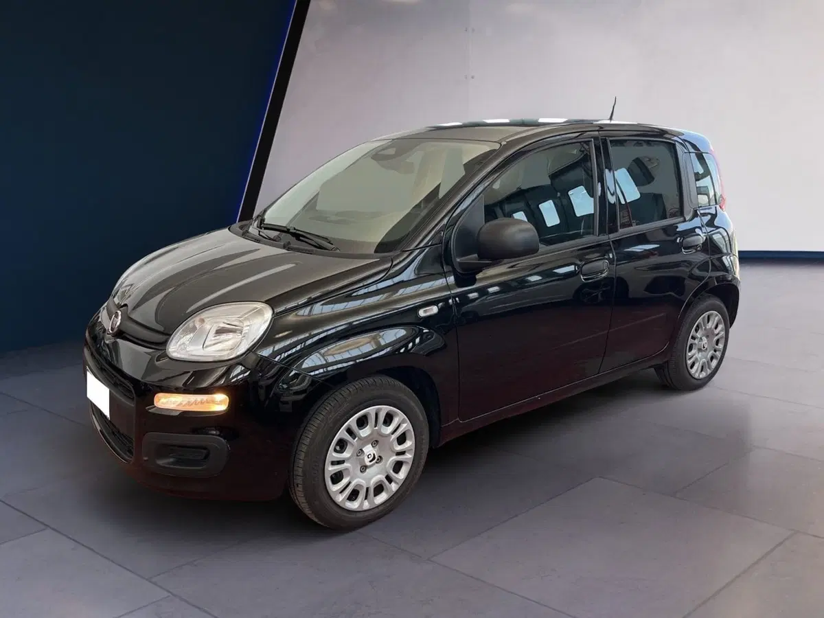 Fiat Pandina usata a Torino (3)