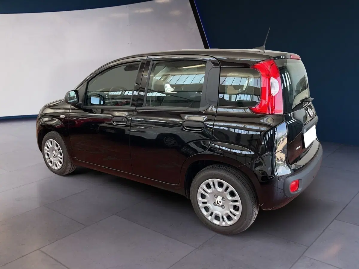 Fiat Pandina usata a Torino (4)