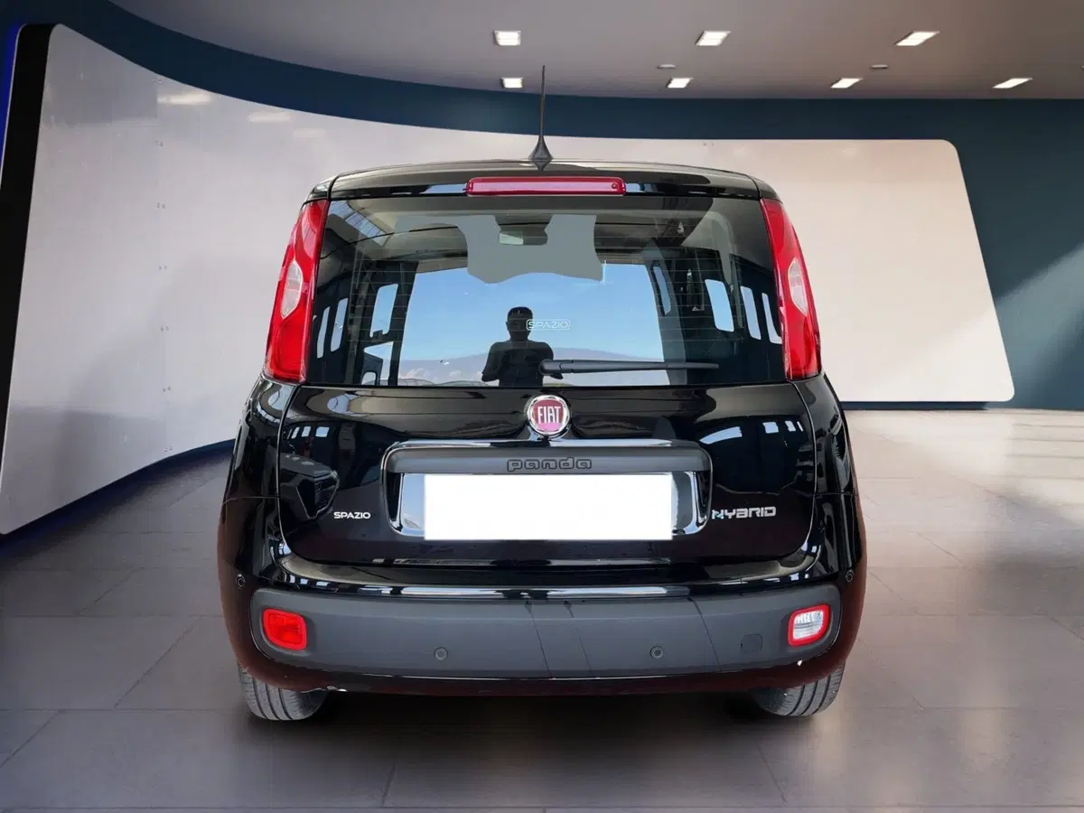 Fiat Pandina usata a Torino (5)