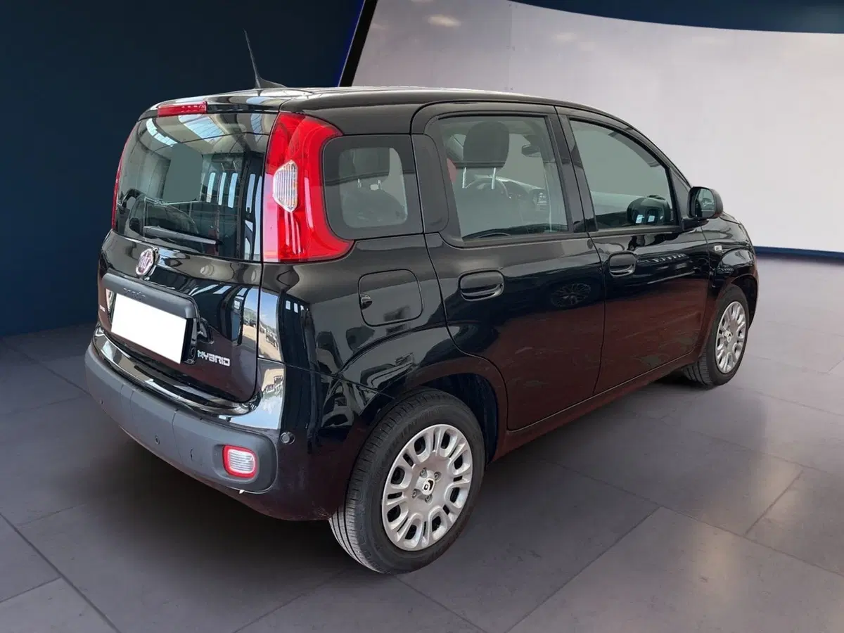 Fiat Pandina usata a Torino (6)