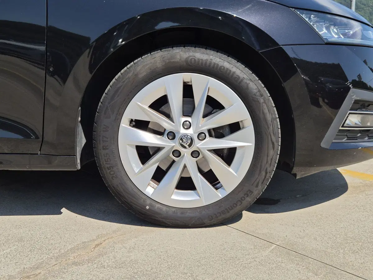 Skoda Octavia Station Wagon usata  (13)