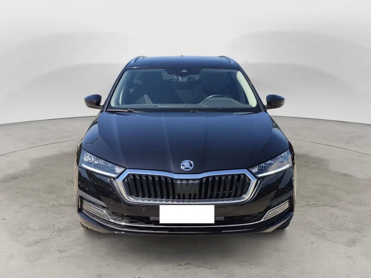 Skoda Octavia Station Wagon usata  (2)