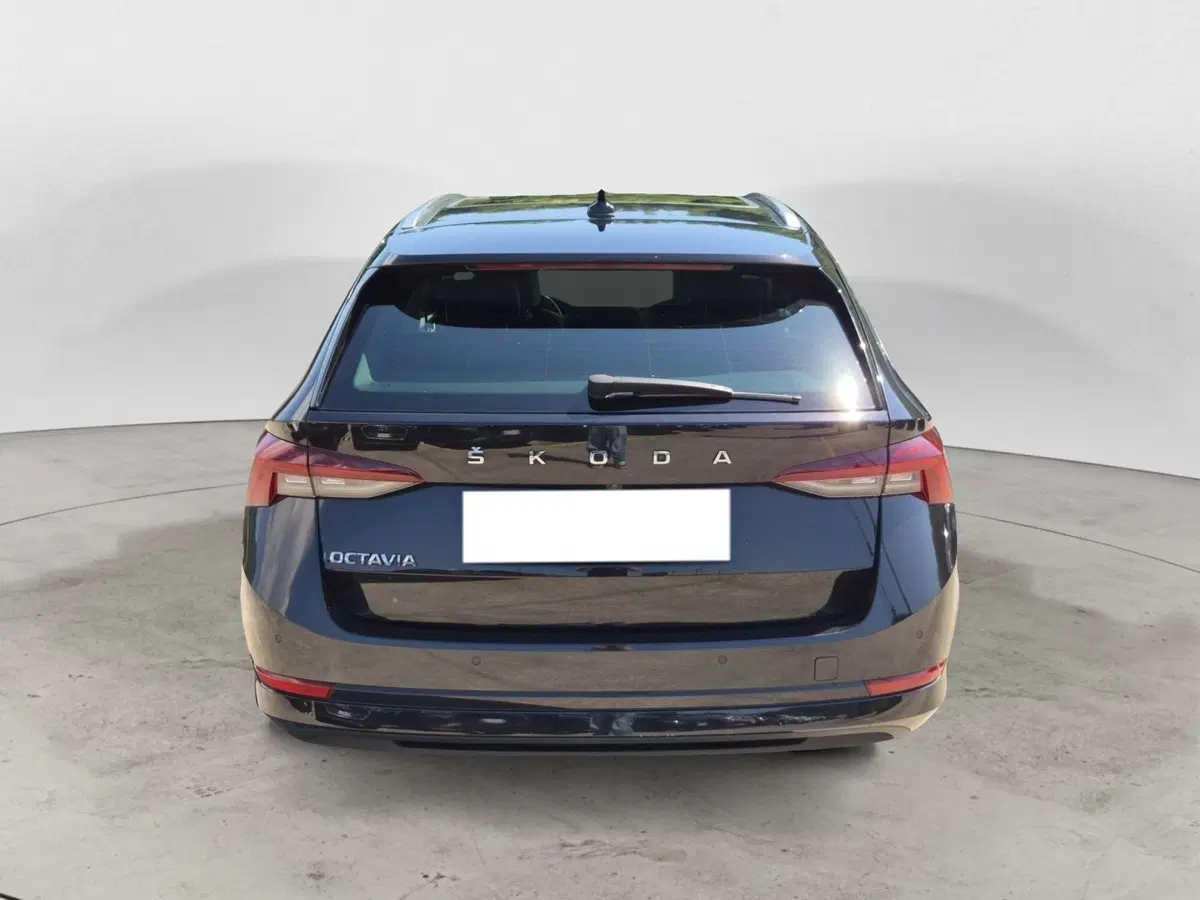 Skoda Octavia Station Wagon usata  (3)