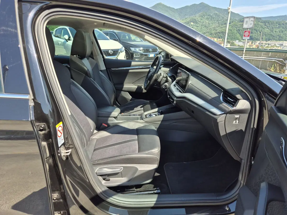 Skoda Octavia Station Wagon usata  (9)