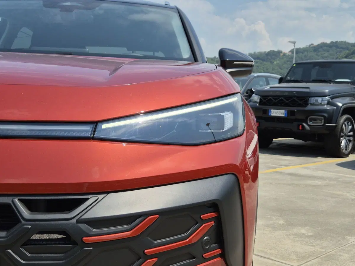Volkswagen T-Roc usata  (17)