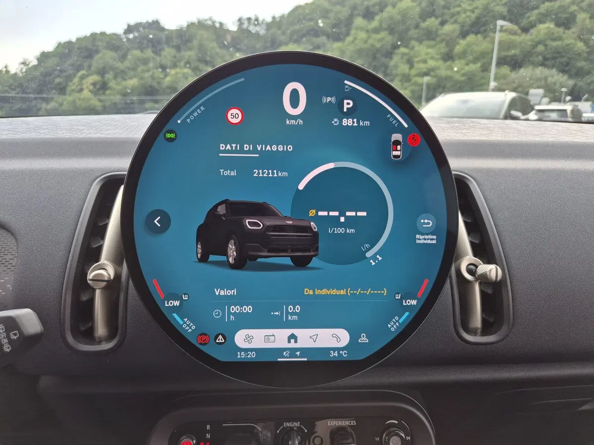 MINI Mini Countryman usata  (14)
