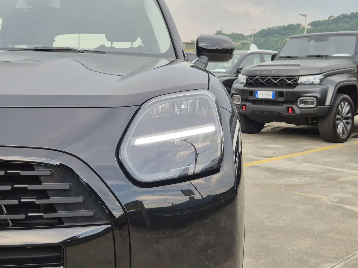 MINI Mini Countryman usata  (18)