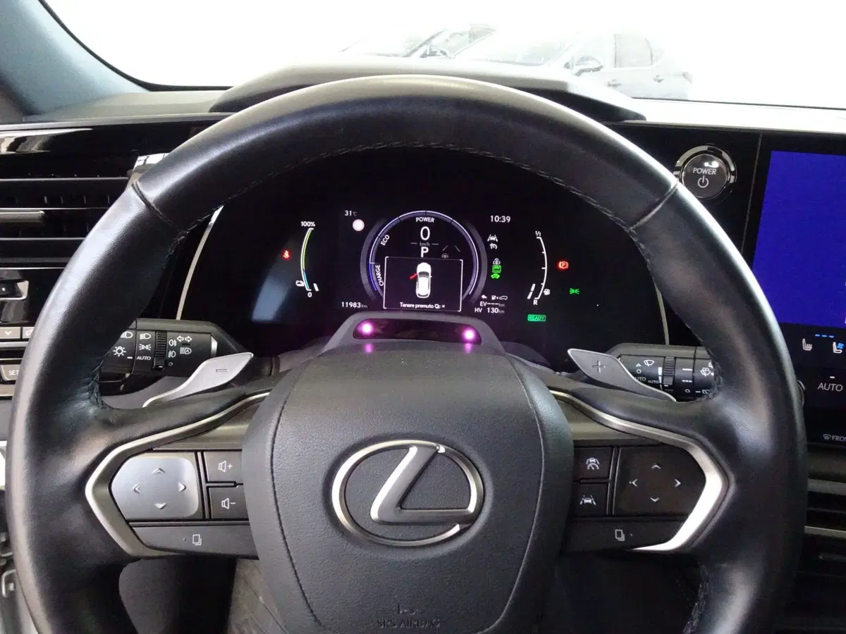 Lexus RX usata a Venezia (12)