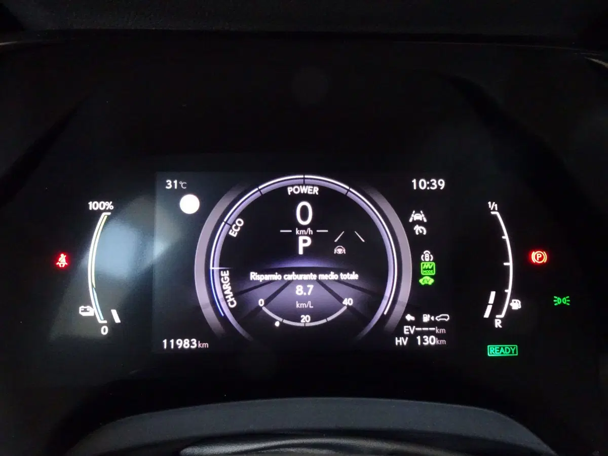 Lexus RX usata a Venezia (13)