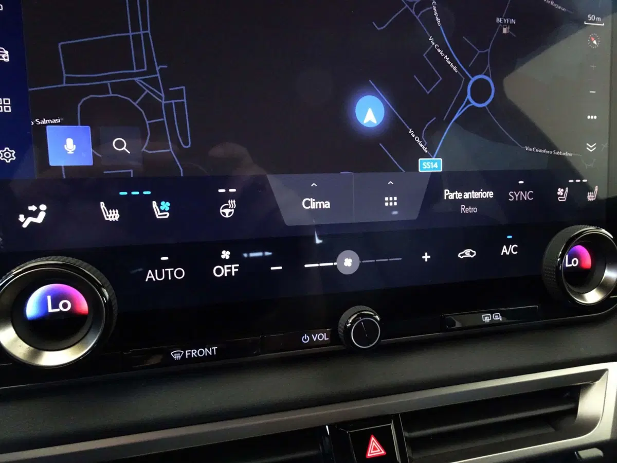 Lexus RX usata a Venezia (17)