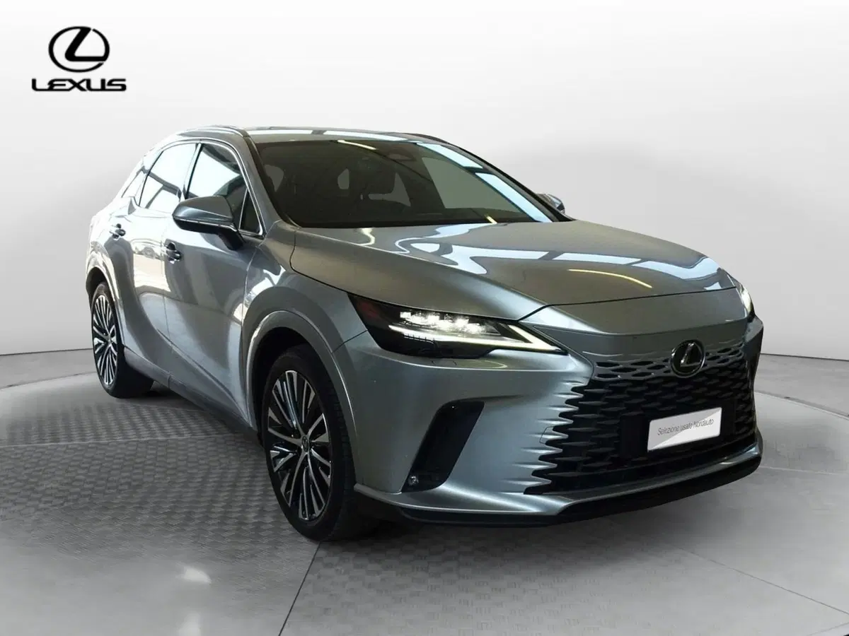 Lexus RX usata a Venezia (2)