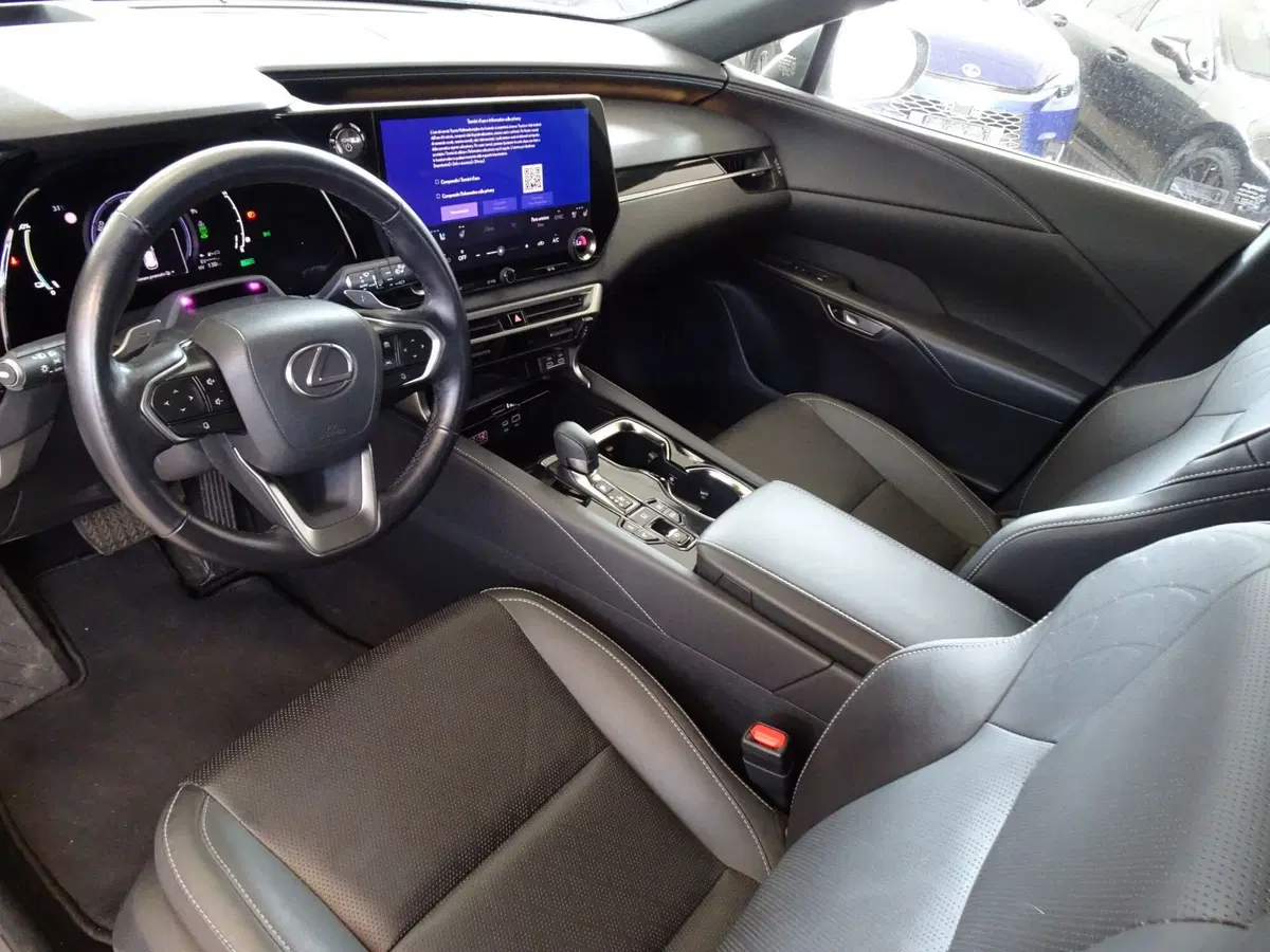 Lexus RX usata a Venezia (6)