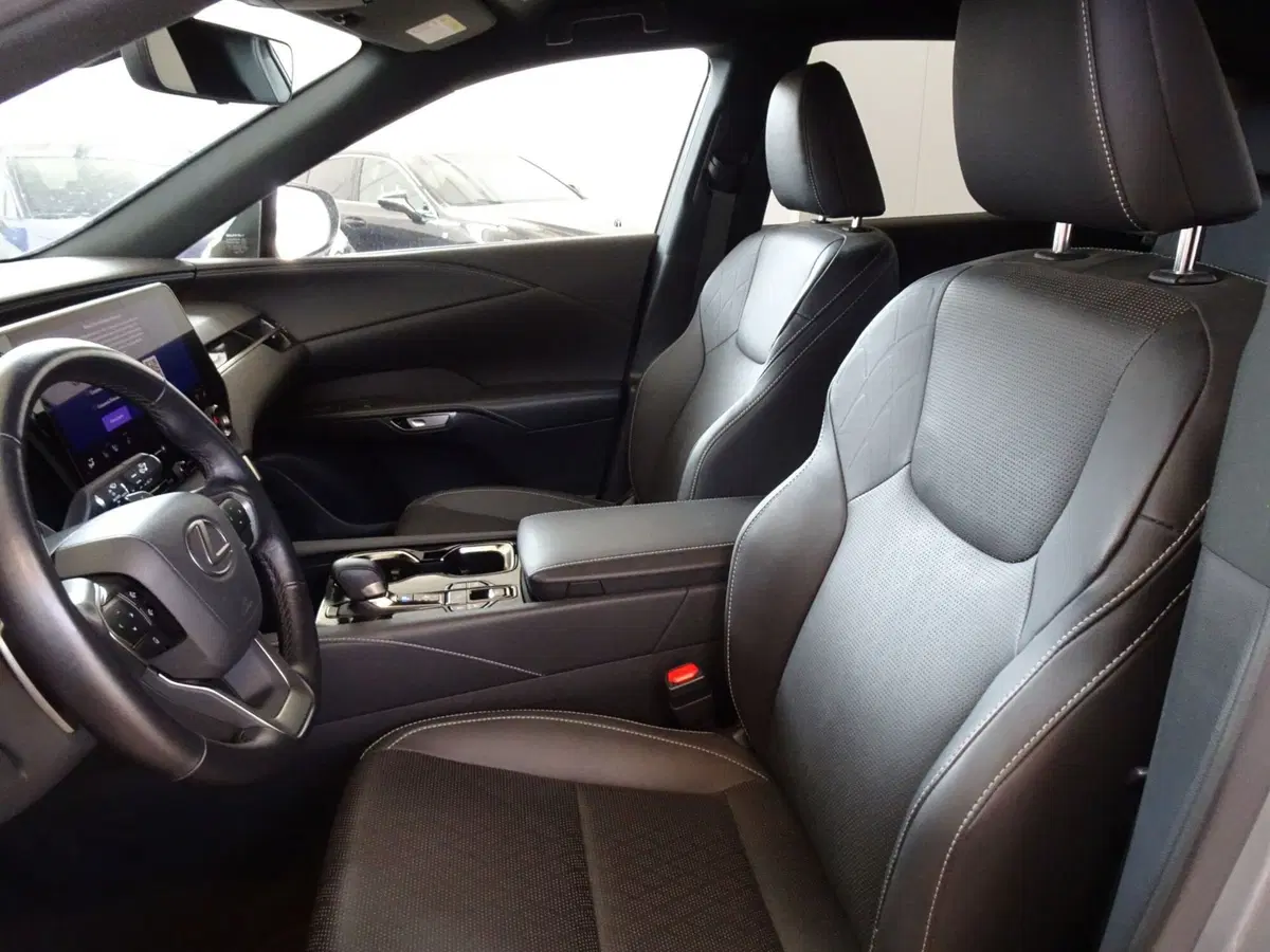Lexus RX usata a Venezia (7)