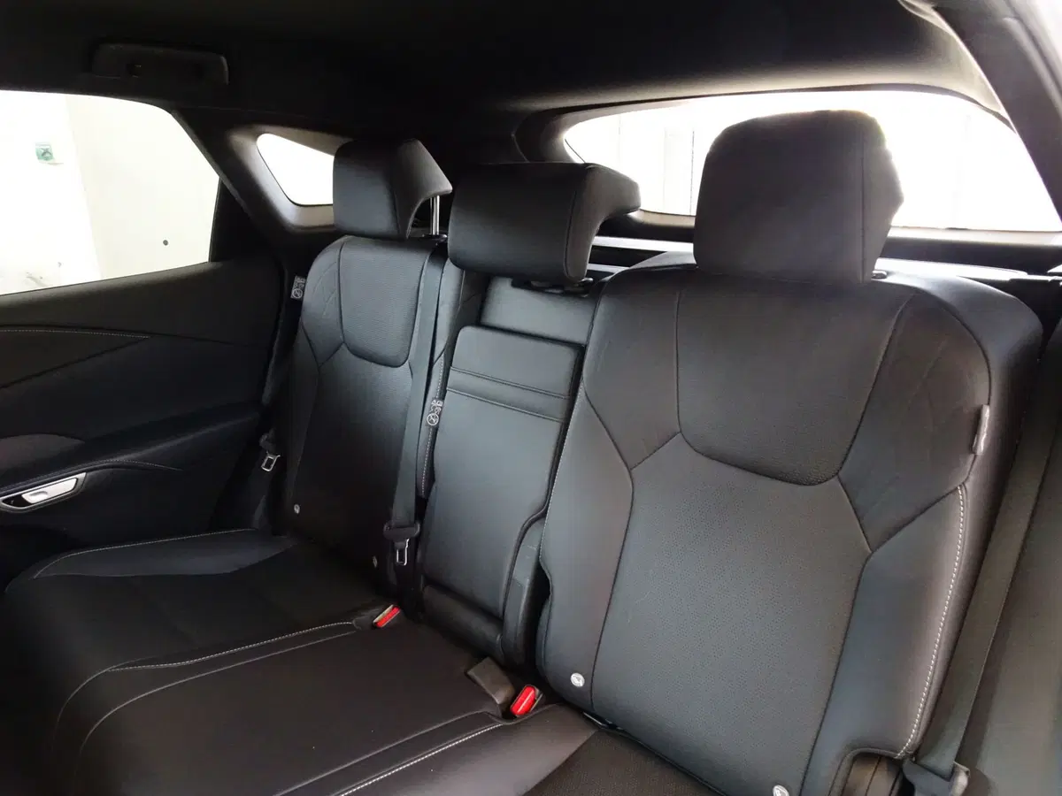 Lexus RX usata a Venezia (9)