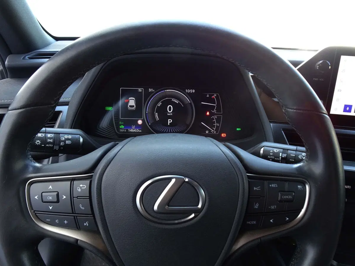 Lexus UX usata a Venezia (8)