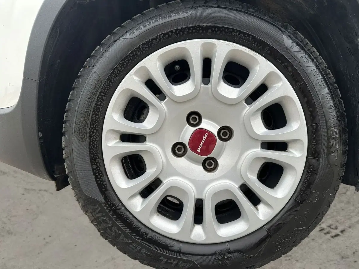 Fiat Panda usata a Pistoia (15)