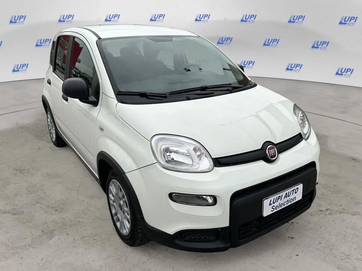 Fiat Panda usata a Pistoia (4)