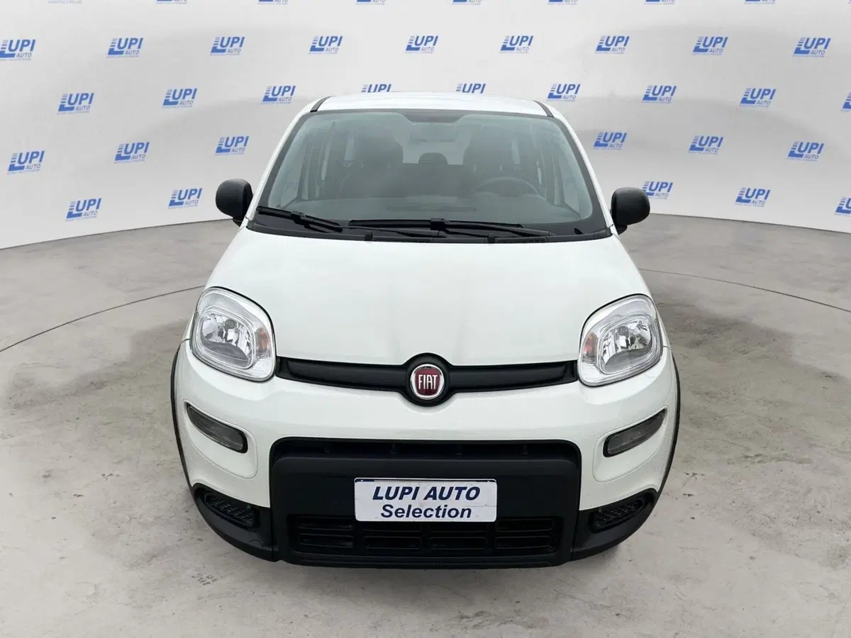 Fiat Panda usata a Pistoia (5)