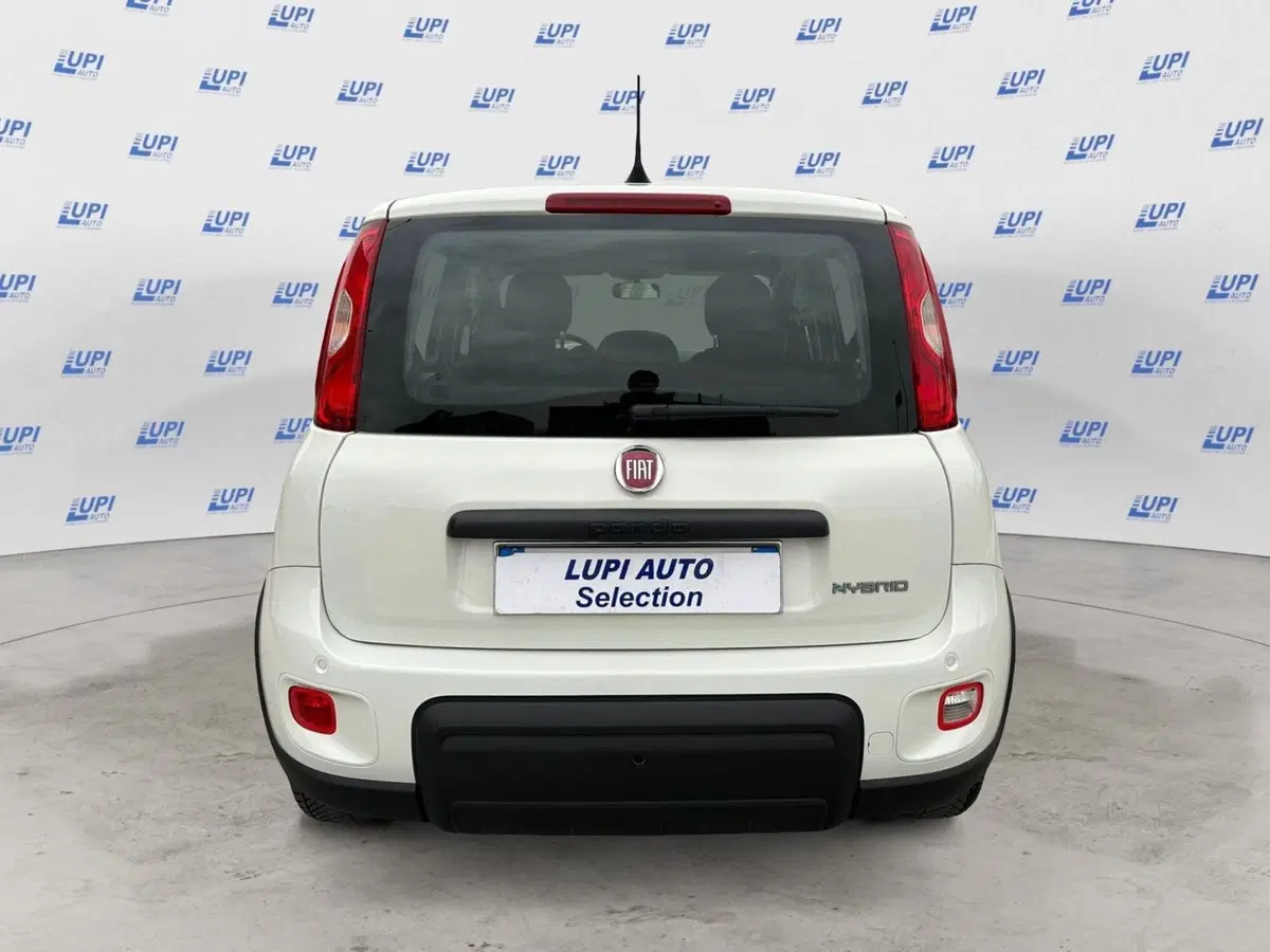 Fiat Panda usata a Pistoia (7)