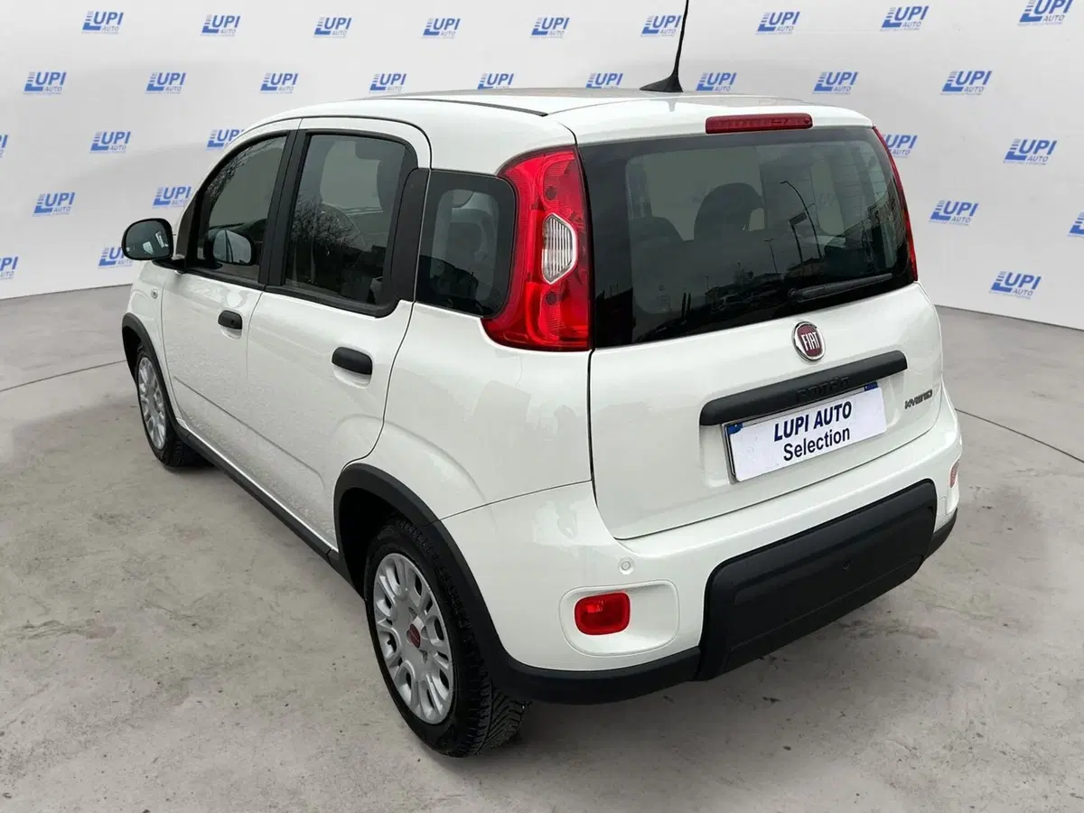 Fiat Panda usata a Pistoia (8)