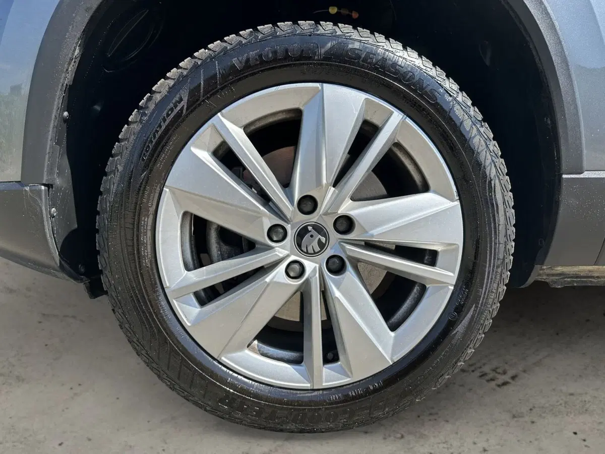 Skoda Karoq usata a Pistoia (15)