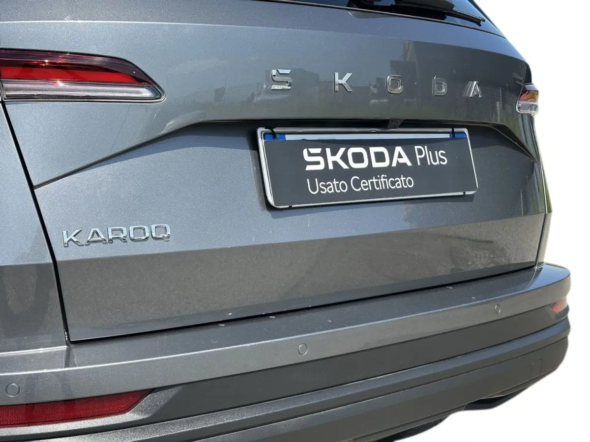 Skoda Karoq usata a Pistoia (16)
