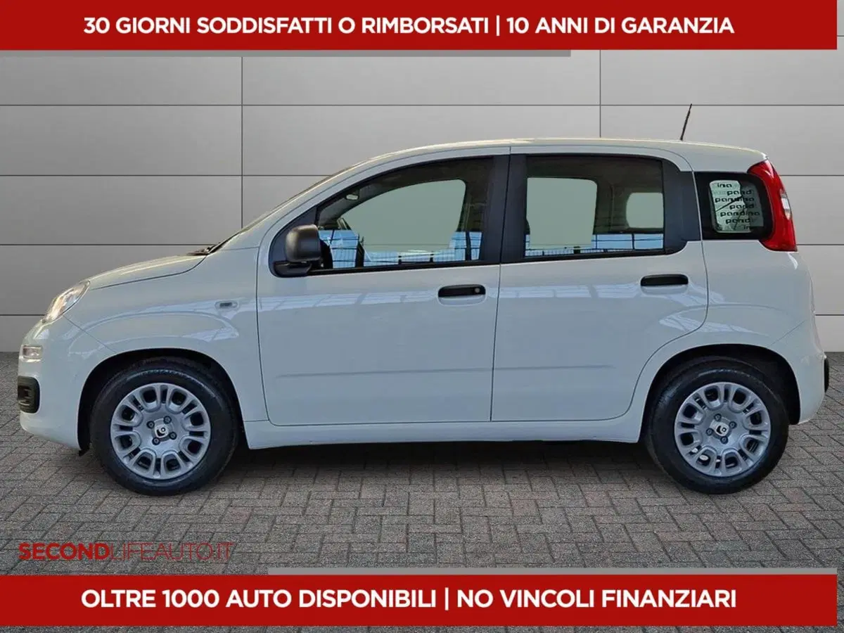 Fiat Pandina usata a Roma (2)