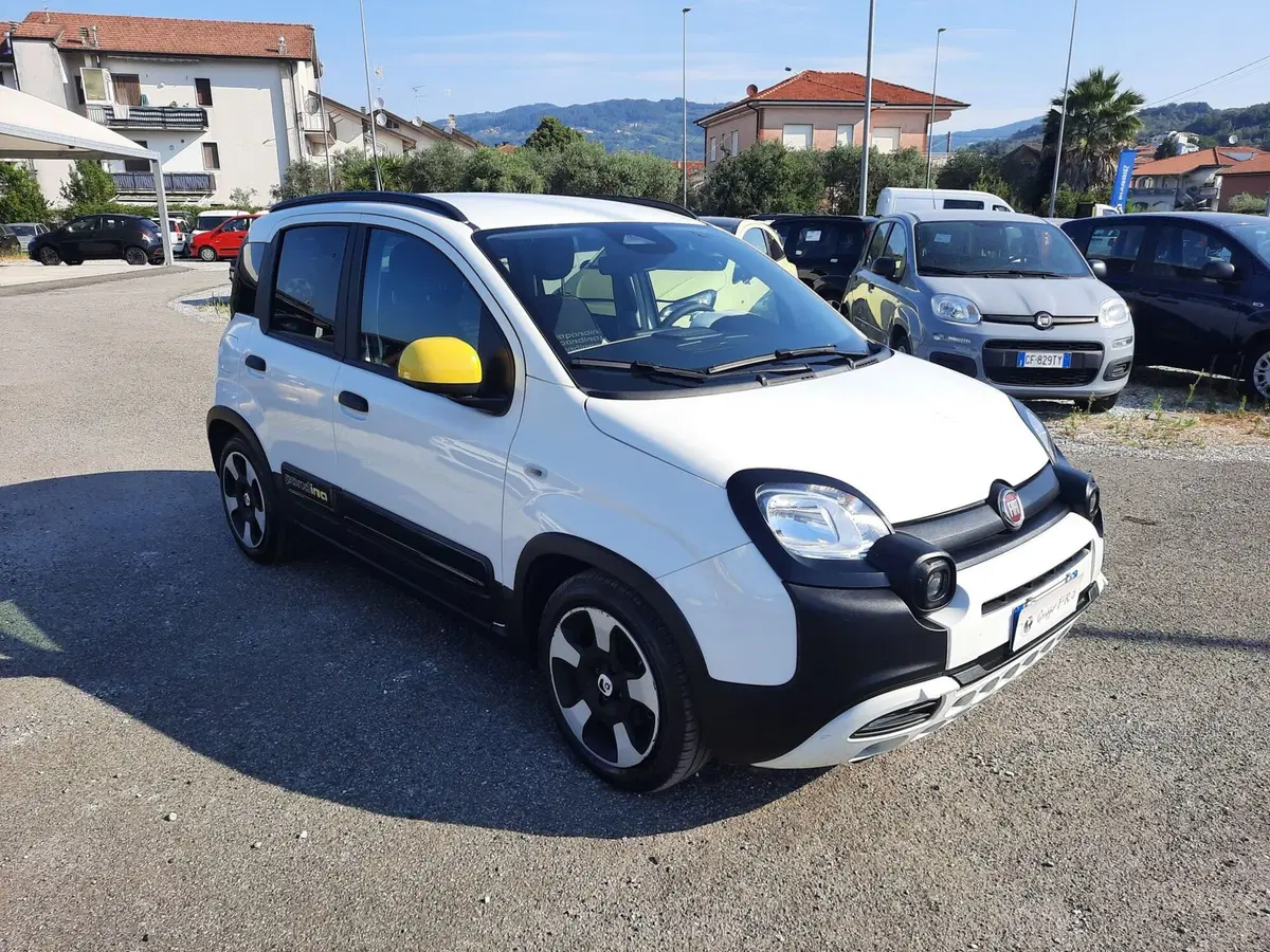 Fiat Pandina usata a La Spezia