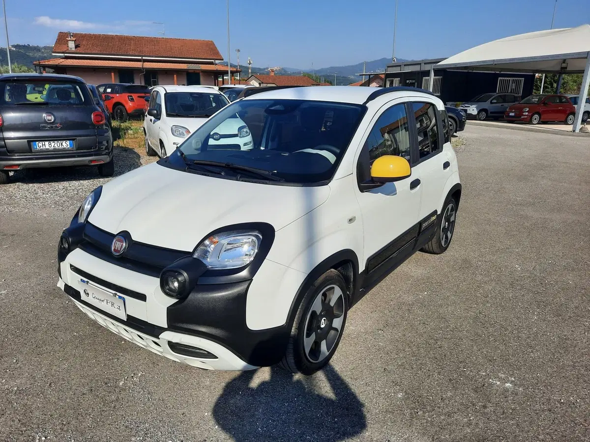 Fiat Pandina usata a La Spezia (3)