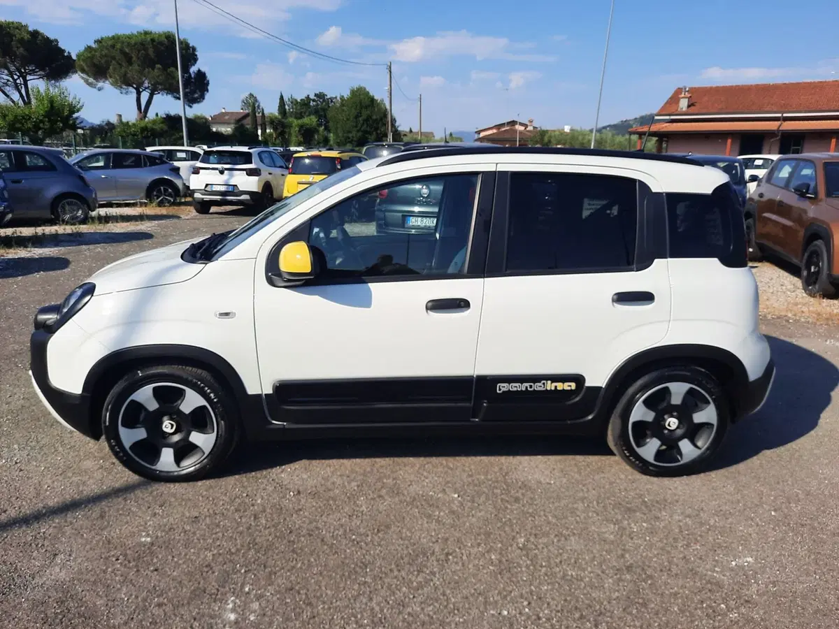 Fiat Pandina usata a La Spezia (4)