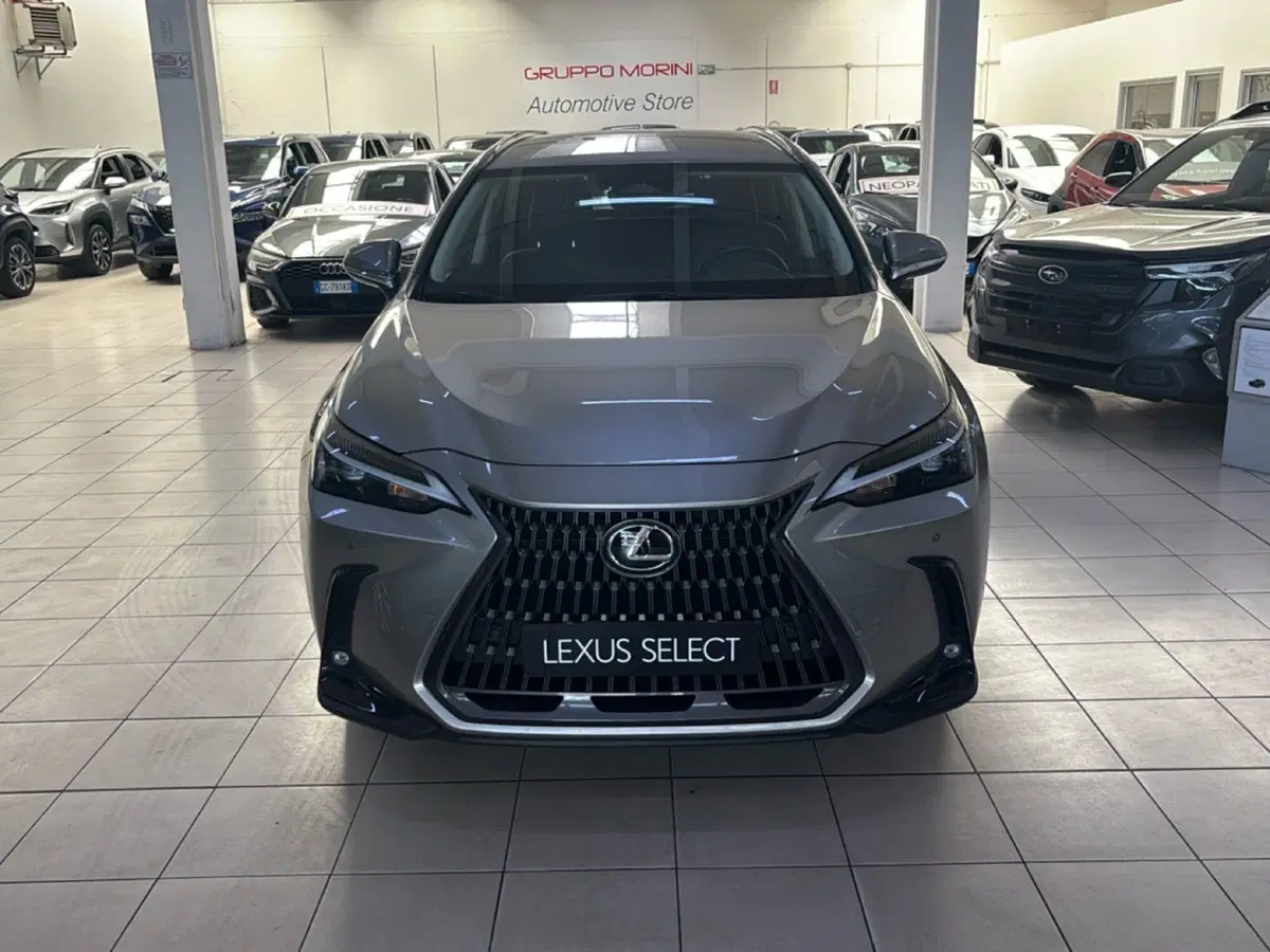 Lexus NX usata a Bologna
