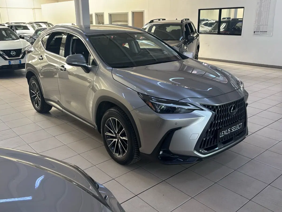 Lexus NX usata a Bologna (2)