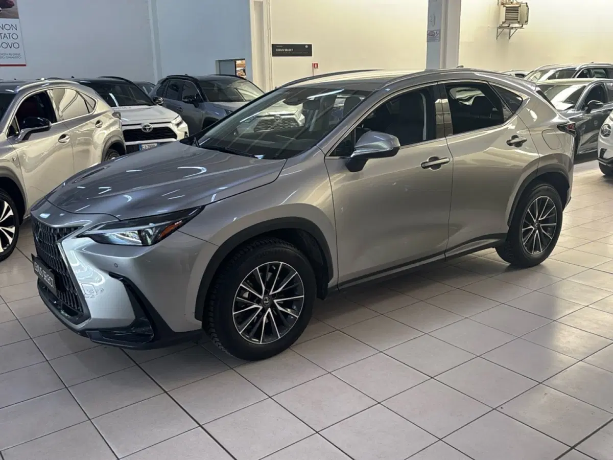 Lexus NX usata a Bologna (3)