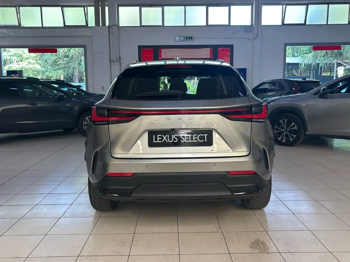 Lexus NX usata a Bologna (4)