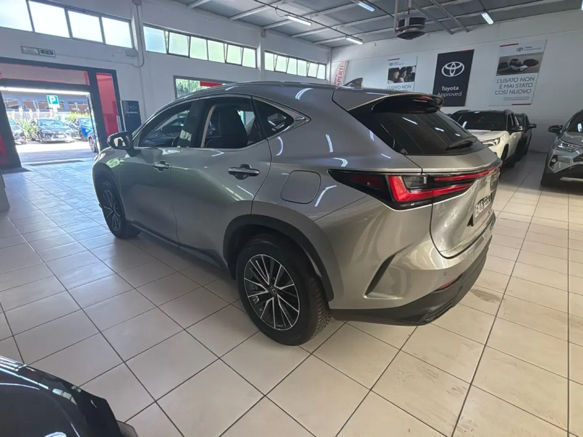 Lexus NX usata a Bologna (5)