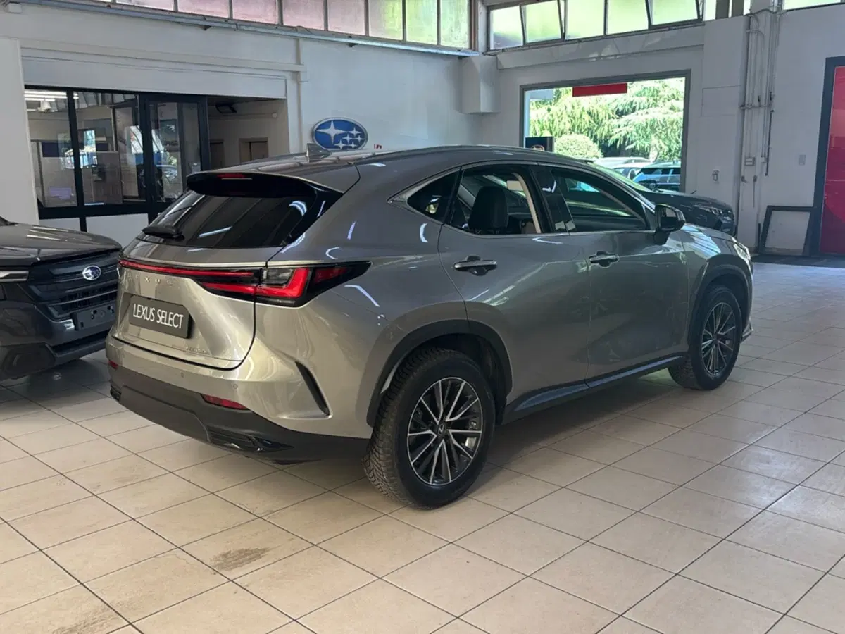 Lexus NX usata a Bologna (6)