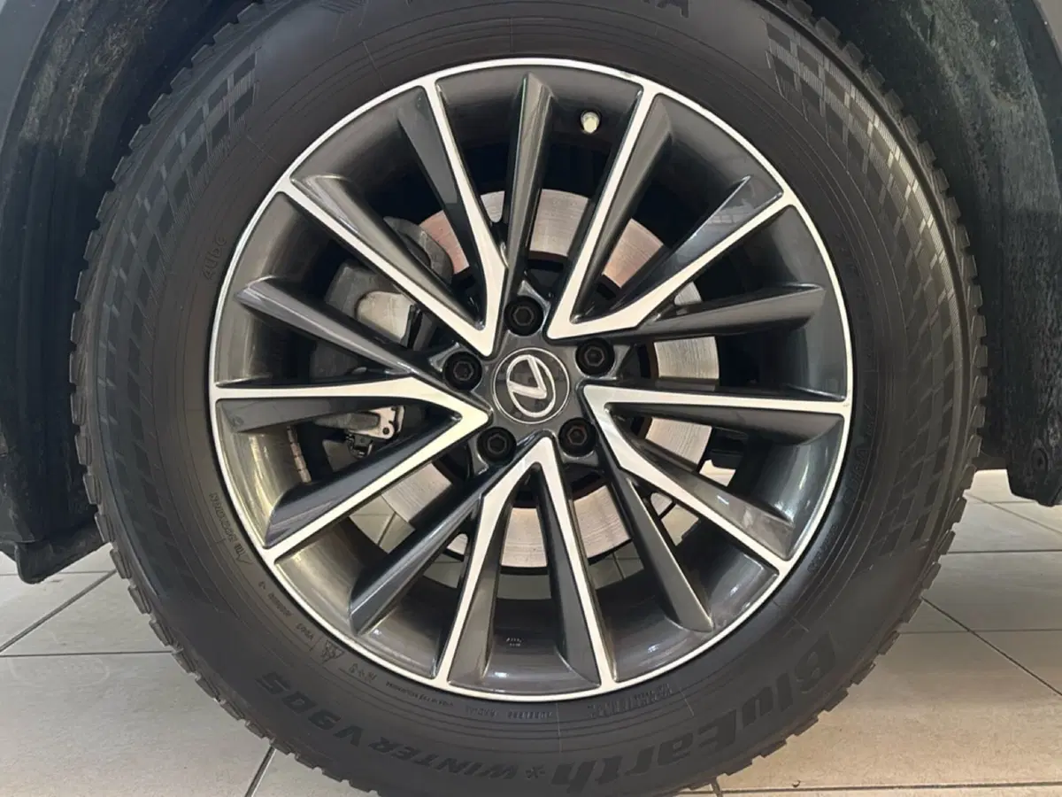 Lexus NX usata a Bologna (7)