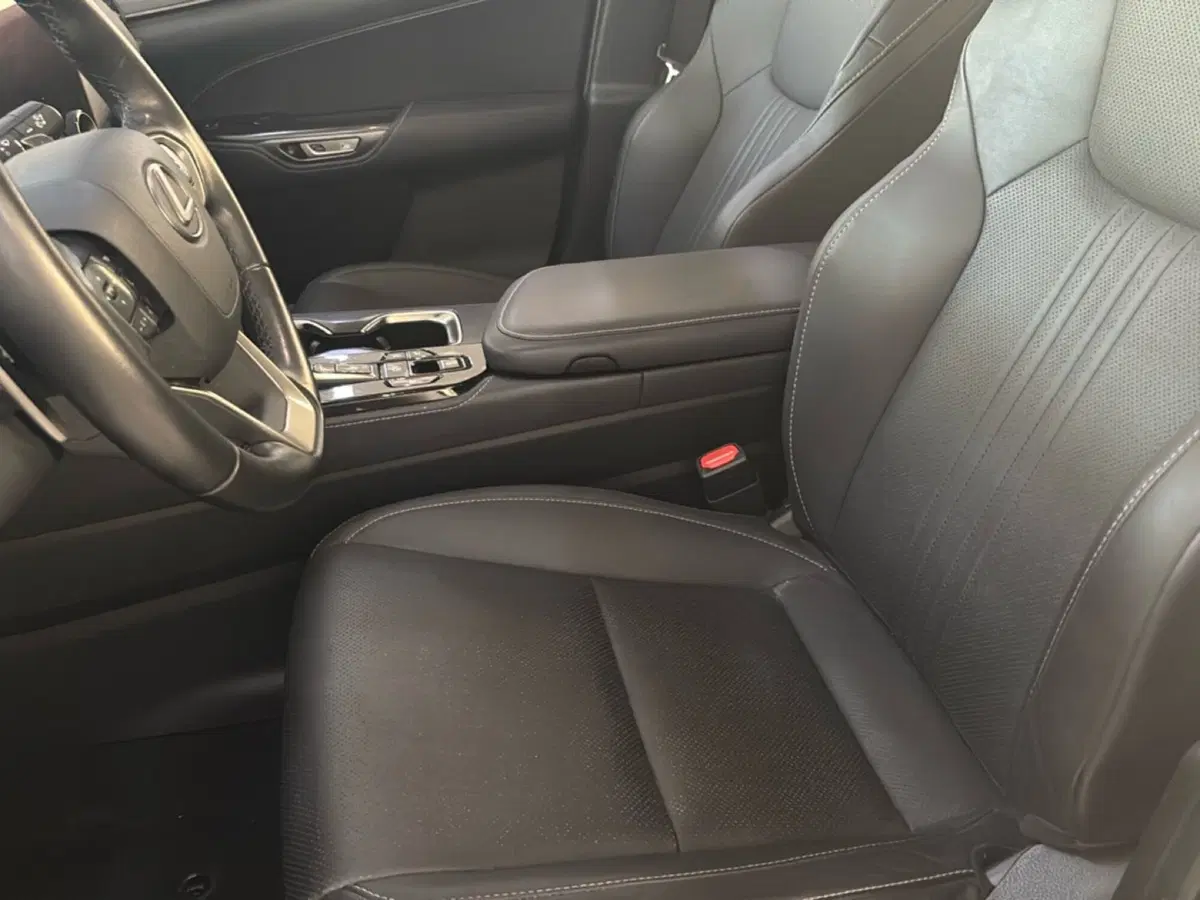 Lexus NX usata a Bologna (8)