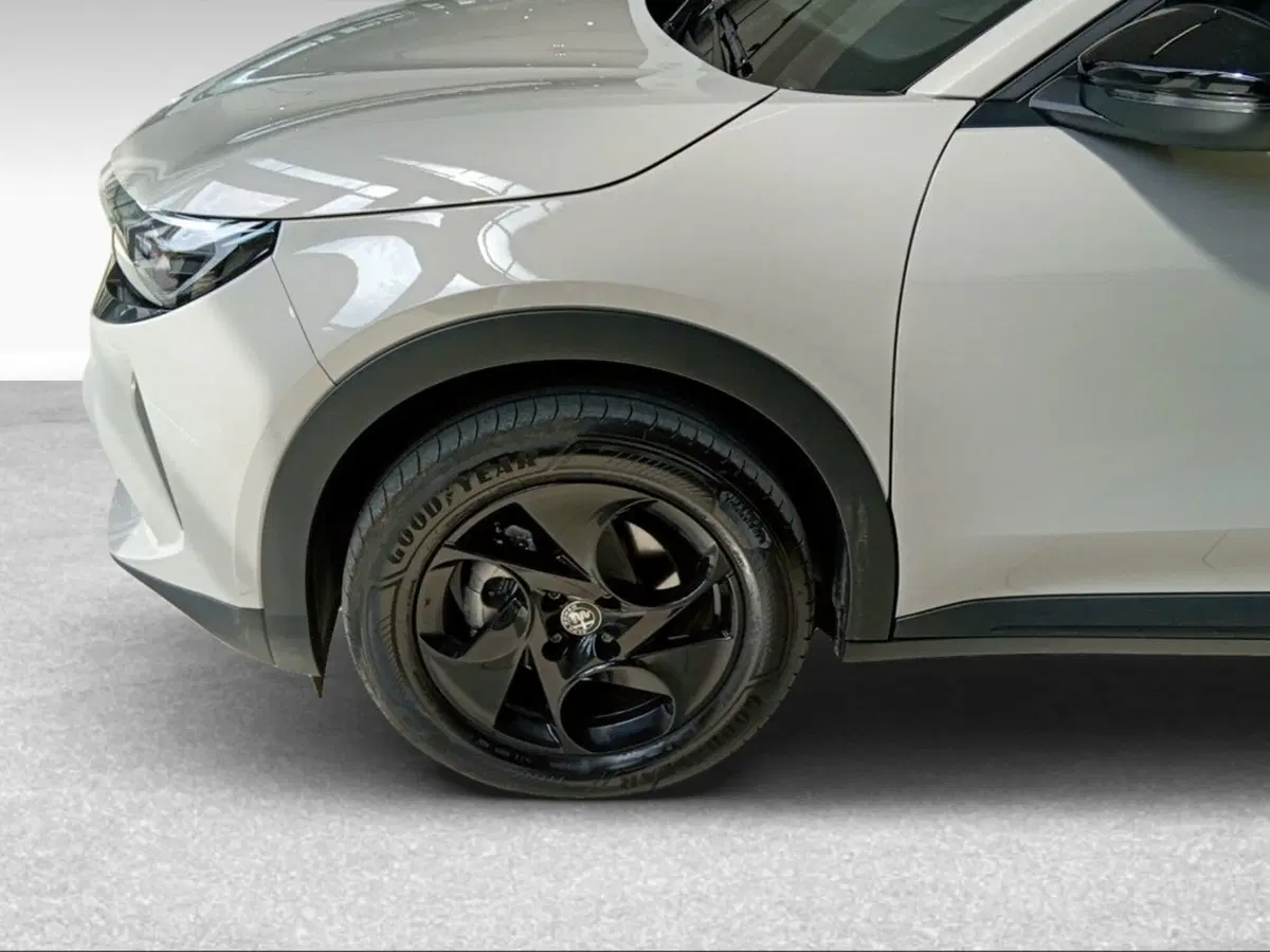 Alfa Romeo Junior usata a Livorno (4)