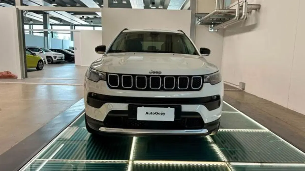 Jeep Compass usata a Reggio Emilia (2)