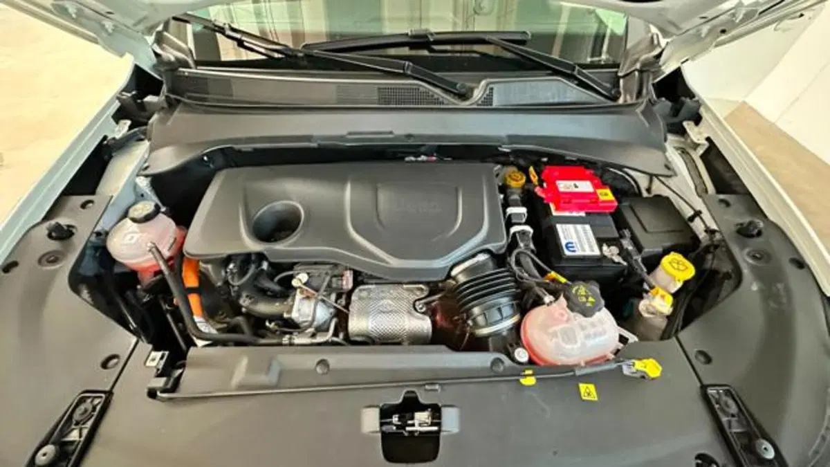 Jeep Compass usata a Reggio Emilia (20)